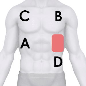 10 Free 02.01 Brief CPR (Cardiopulmonary Resuscitation) Overview ...