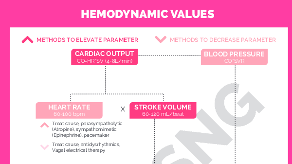 nclex flash notes cheatsheets