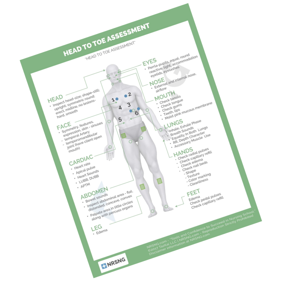 Free Nursing Cheatsheets Download Now 3860