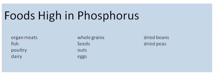 foods high in phosphorus