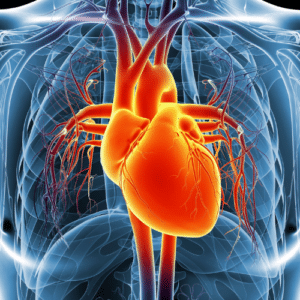 Nursing Care and Pathophysiology for Heart Failure (CHF)